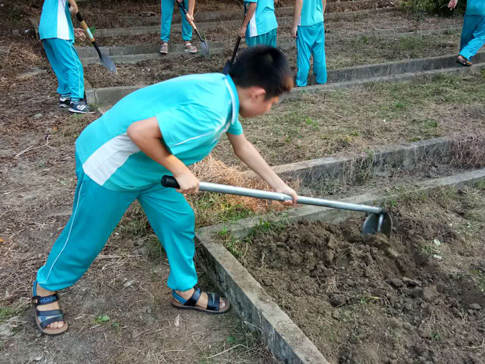 1508144144453999.jpg 02.jpg